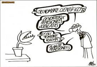 plan-pensiones-forges